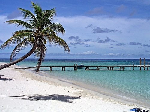 Roatan beach break Shore Excursion Tickets