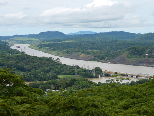 Panama City Jungle Views by Aerial Tram and Sightseeing Excursion