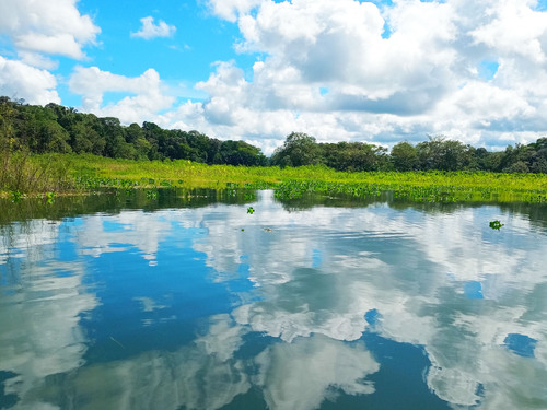 Panama Colon Chagres River Canal and Rainforest Cruise Excursion