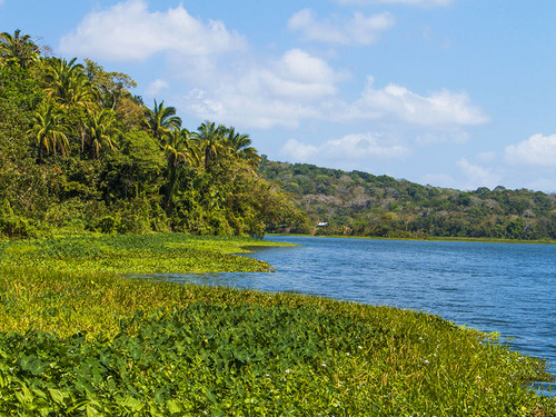 Panama Colon Chagres River Canal and Rainforest Cruise Excursion