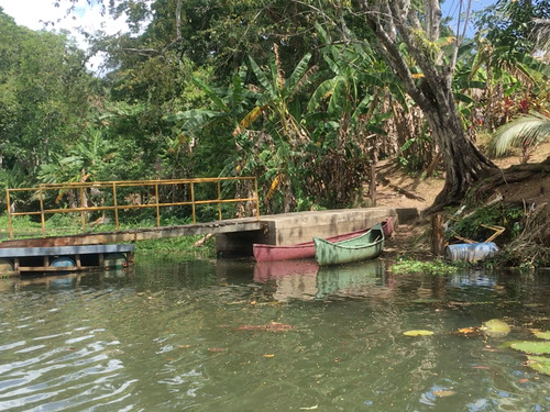 Panama Colon Jungle, Culture & Colonial Charm Excursion