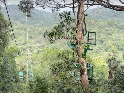 Panama Colon Jungle Views by Aerial Tram and Sightseeing Excursion