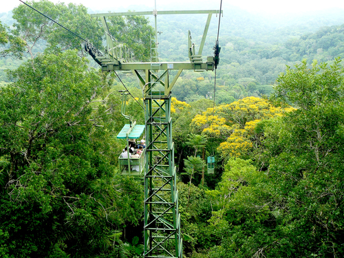 Panama Colon Jungle Views by Aerial Tram and Sightseeing Excursion