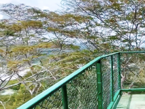 Panama Colon Jungle Views by Aerial Tram and Sightseeing Excursion