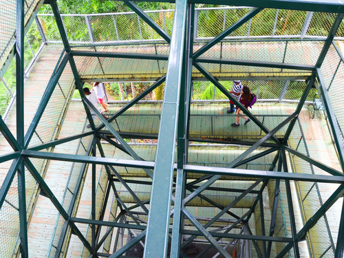 Panama Colon Jungle Views by Aerial Tram and Sightseeing Excursion
