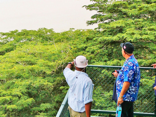Panama Colon Jungle Views by Aerial Tram and Sightseeing Excursion