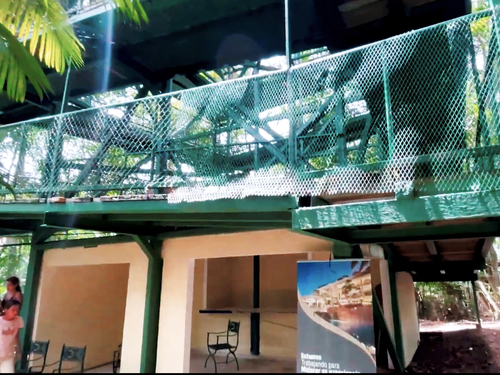 Panama Colon Jungle Views by Aerial Tram and Sightseeing Excursion