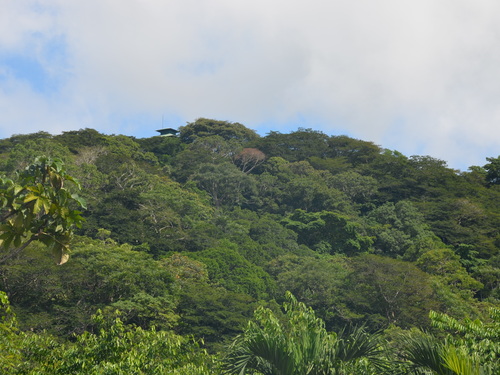 Panama Colon Jungle Views by Aerial Tram and Sightseeing Excursion