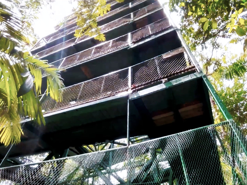 Panama Colon Jungle Views by Aerial Tram and Sightseeing Excursion