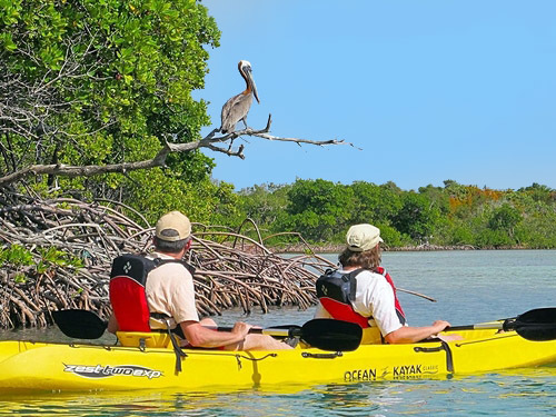 Virgin Islands mangrove kayak Excursion Reviews
