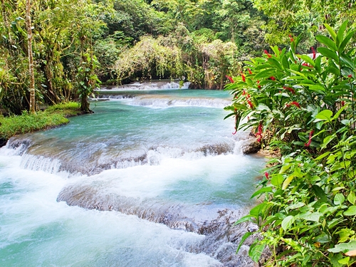 Ocho Rios waterfalls Trip Booking