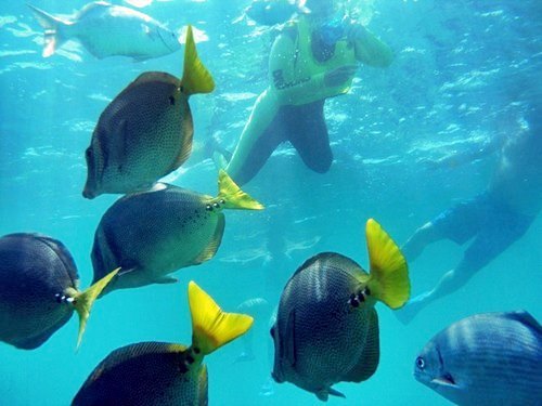 Cabo San Lucas beach  Shore Excursion