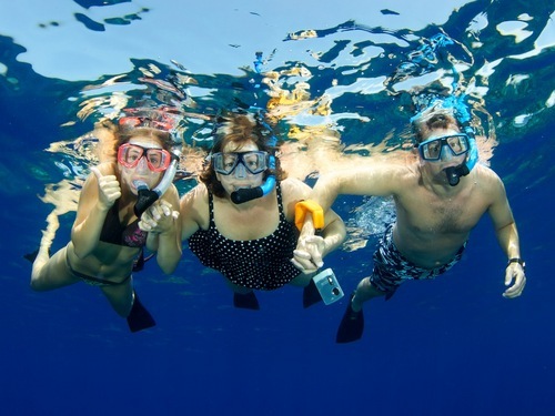 Cabo San Lucas  Mexico snorkeling Booking
