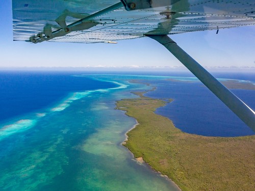 Belize snorkel with sharks  Shore Excursion Prices