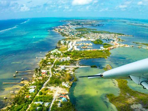 Belize snorkel with sharks  Shore Excursion Tickets