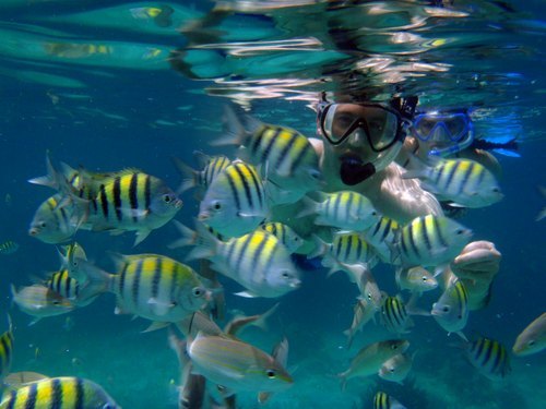 Cabo San Lucas Chileno Bay  Excursion