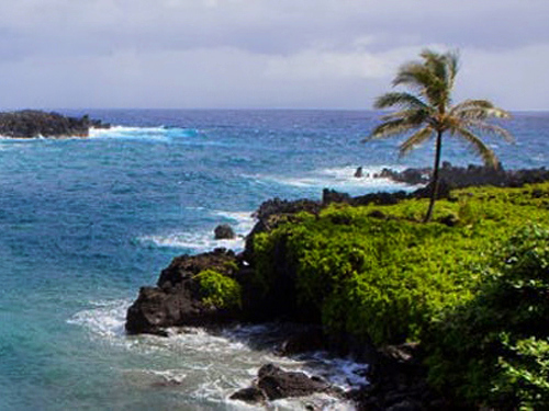 Maui (Kahului) Hawaii / USA Keanae Trip Reviews
