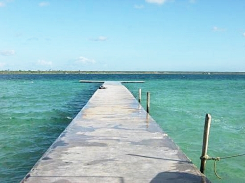 Costa Maya  Mexico (Mahahual) federally certified guide Reservations