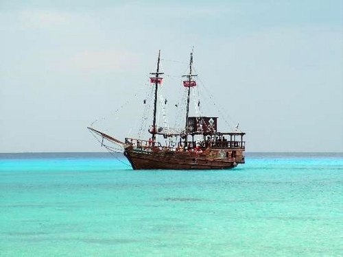 Cozumel  Mexico tropical fish Booking