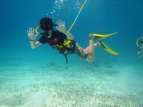 Playa del Carmen (Calica) Cozumel Excursion Tour Reviews