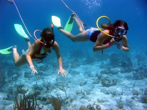 Playa del Carmen (Calica) Eco Park Tour Reviews