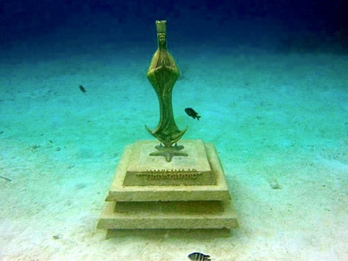 Playa del Carmen (Calica)  Mexico Snorkeling Excursion Cost