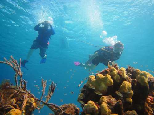 Playa del Carmen (Calica)  Mexico SNUBA Diving Excursion Booking