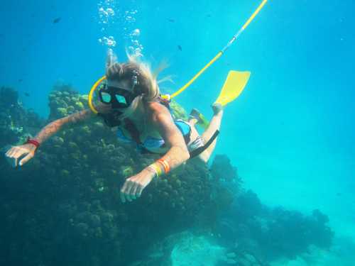 Playa del Carmen (Calica) SNUBA Diving Trip Booking
