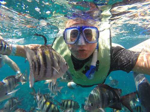 Playa del Carmen (Calica) Tropical Fish and Colorful Coral Reefs Trip Reservations