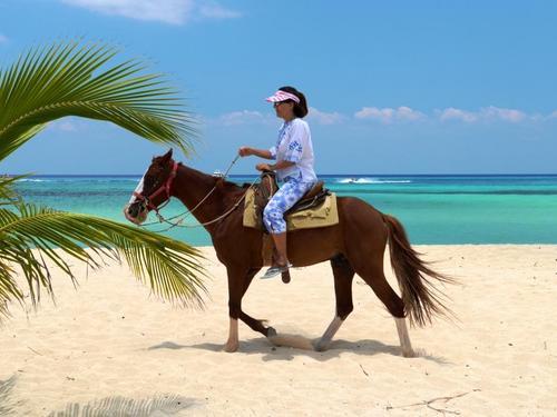 Cozumel beach horse ride Shore Excursion Prices