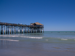 Port Canaveral Cocoa Village and Cocoa Beach Excursion