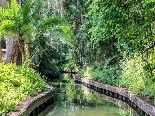 Port Canaveral (Orlando)  Florida / USA Disney Springs Cruise Excursion Reservations