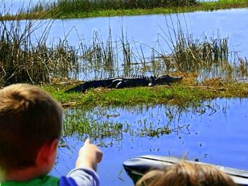 Port Canaveral (Orlando) airboat ride Tour Prices