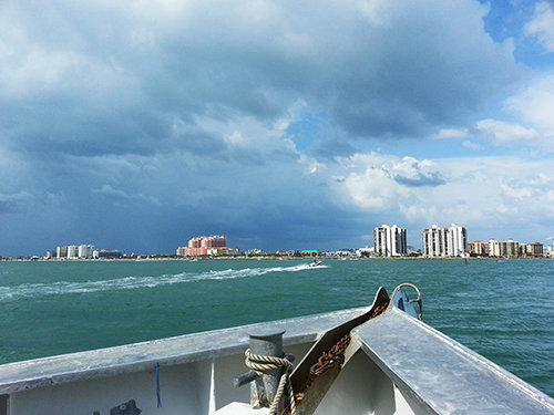 Port Canaveral (Orlando)  Florida / USA West Coast Fishing Tour Prices