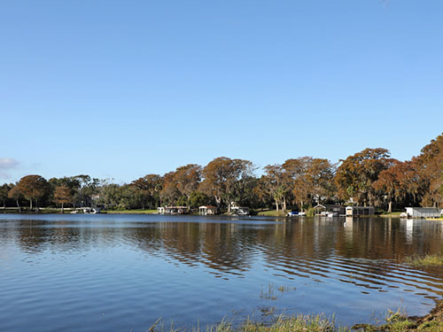 Port Canaveral (Orlando)  Florida / USA Park Avenue Shore Excursion Booking