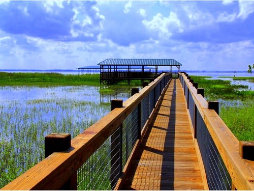 Port Canaveral (Orlando)  Florida / USA wild animal Excursion Booking