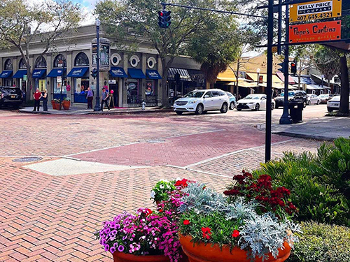 Port Canaveral (Orlando) ICON 360 Tour Prices