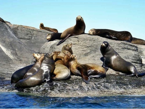 Cabo San Lucas  Mexico beach  Reviews