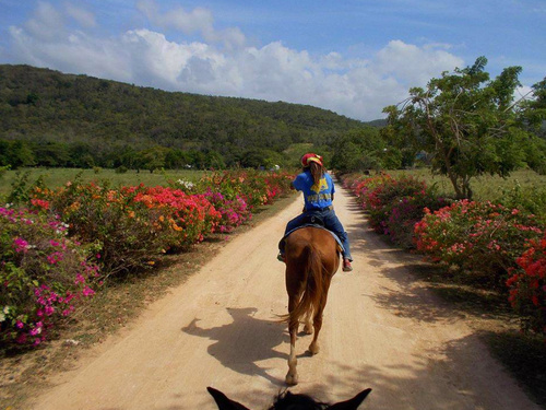 Montego Bay ride horses on beach Excursion