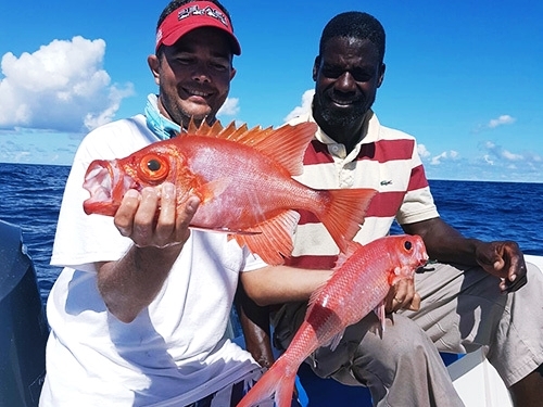 St. Lucia bottom fish Cruise Excursion Reservations