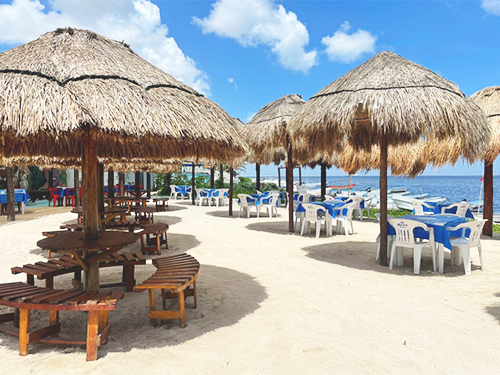Progreso  Shore Excursion Reviews
