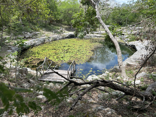 Progreso (Yucatan) Historic Excursion Shore Excursion Cost