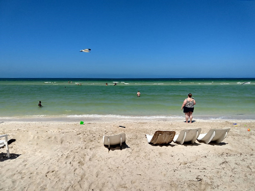 Progreso (Yucatan) Family Beach Break Cruise Excursion Reservations