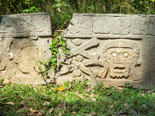 Progreso (Yucatan) Mexico Ball Court Walking Shore Excursion Reviews