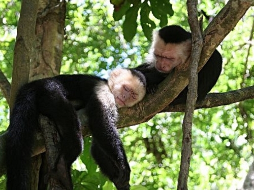 Puerto Caldera  Costa Rica highlights Trip Tickets