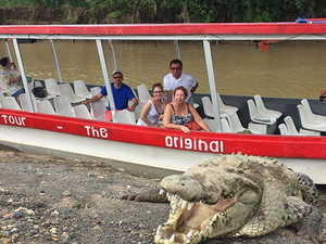 Puerto Caldera Crocodile Encounter and Tarcoles River Cruise Half Day Excursion