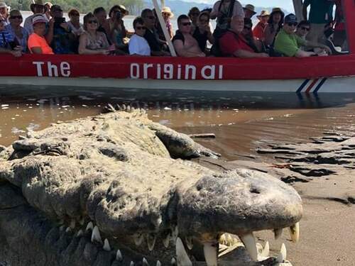 Puerto Caldera Private Combo Highlights Sightseeing Excursion 