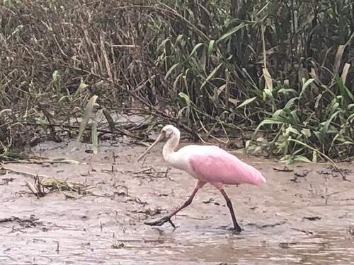 Puerto Caldera Private Combo Highlights Sightseeing Excursion 