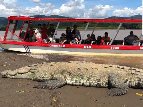 Puerto Caldera Private Combo Highlights Sightseeing Excursion 