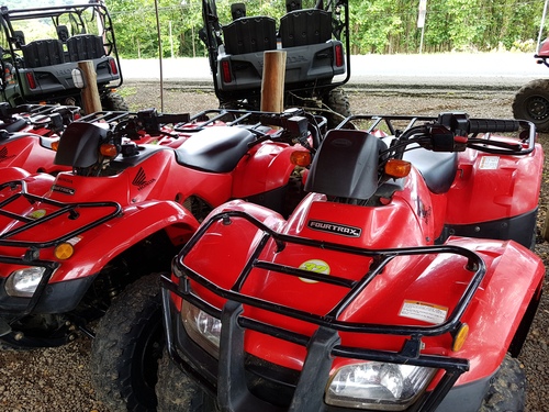 Puerto Caldera Private Jungle and River ATV and Crocodile Boat Safari Excursion